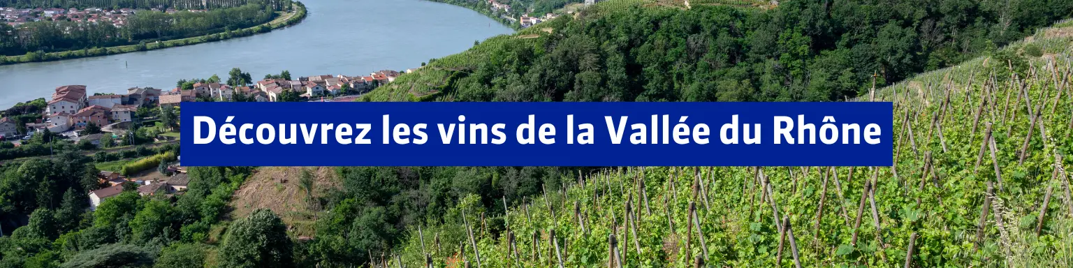 Vins de la Vallée du Rhône