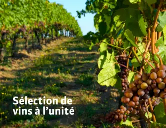 Sélection à l'unité