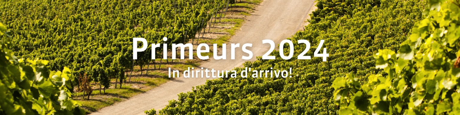 Bordeaux Primeurs 2024 - final