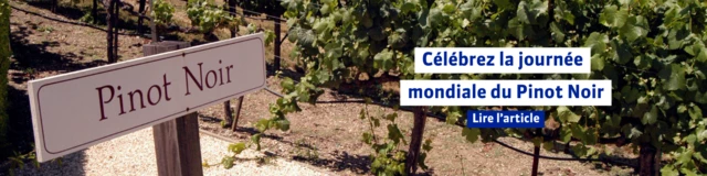 Journée mondiale Pinot Noir