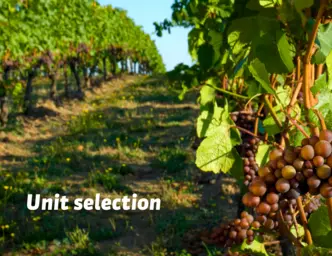 Unit selection
