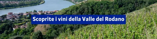 Valle del Rodano