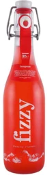 Fizzy gazzosa ticinese framboise