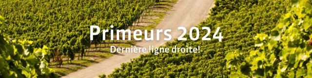 Bordeaux Primeurs 2024 - final