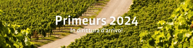Bordeaux Primeurs 2024 - final