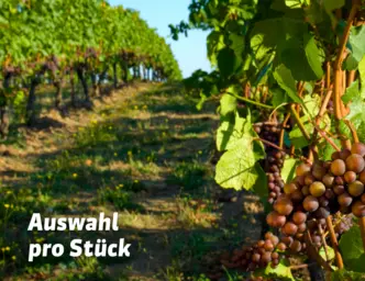 Sélection à l'unité